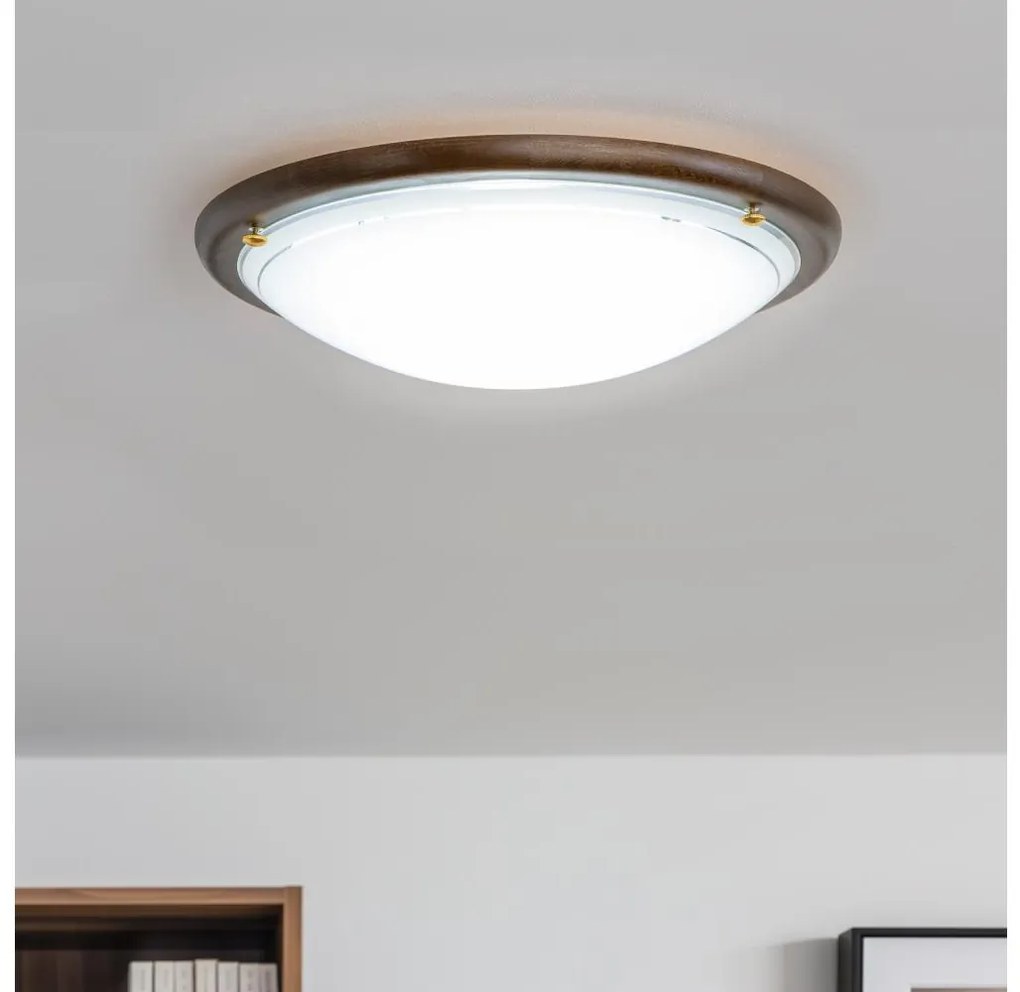 Rabalux 5417 - Plafoniera UFO E27/60W/230V