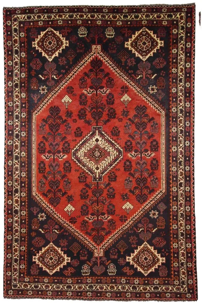 Shiraz Tappeto 300 x 200 (Iran)