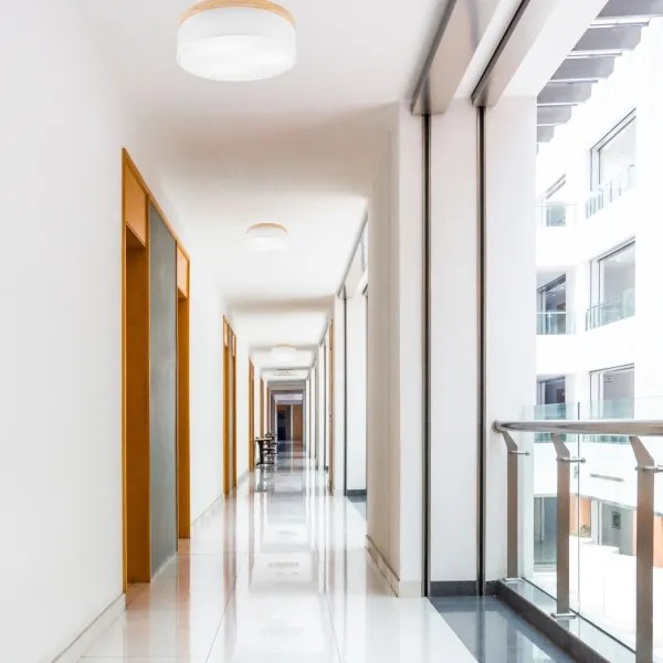 Brilagi - LED Plafoniera BELLADONNA 3xE27/15W/230V bianco/pino