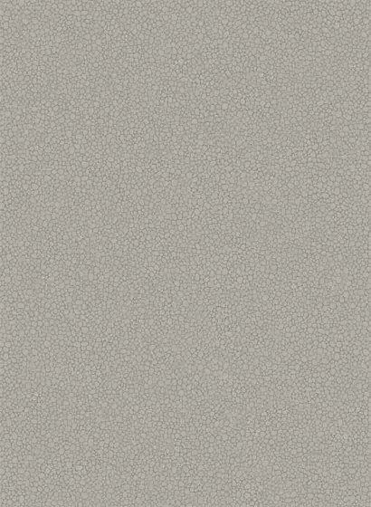 Tapete Pebble von Cole and Son - Grey