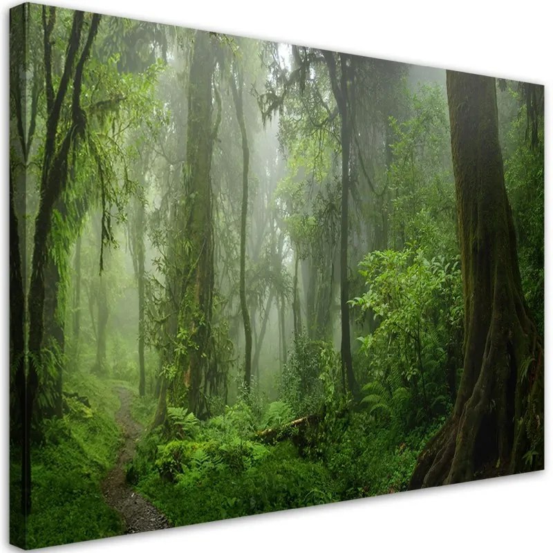 Quadro su tela, Foresta della giungla tropicale  Dimensioni 60x40