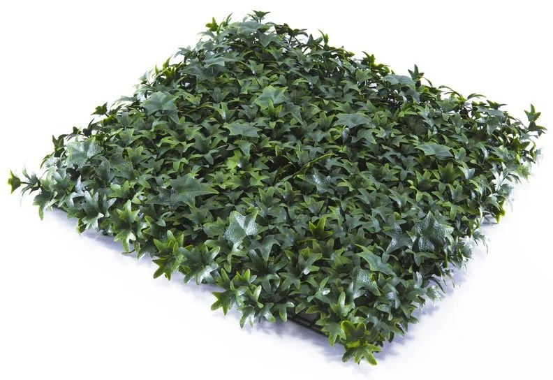 Parete verde artificiale Edera Divy 3D in polietilene, verde H 1 m x L 1 m