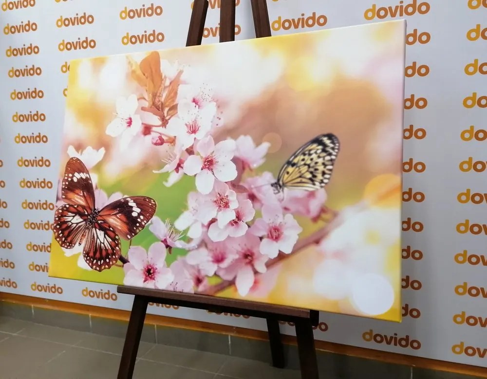 Quadro su tela – Fiori primaverili con farfalle esotiche