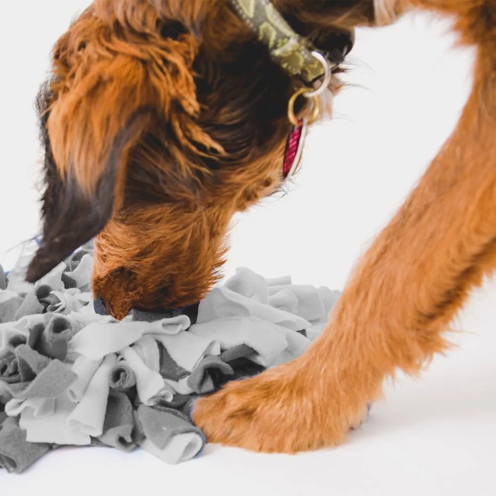 Annusare la coperta - Love Story