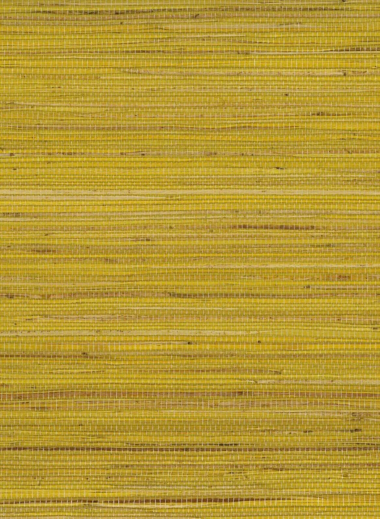 Osborne & Little Tapete Kanoko Grasscloth 2 - Dandelion