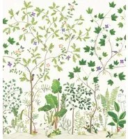 Sanderson Wandbild Sycamore and Oak - Botanical Green