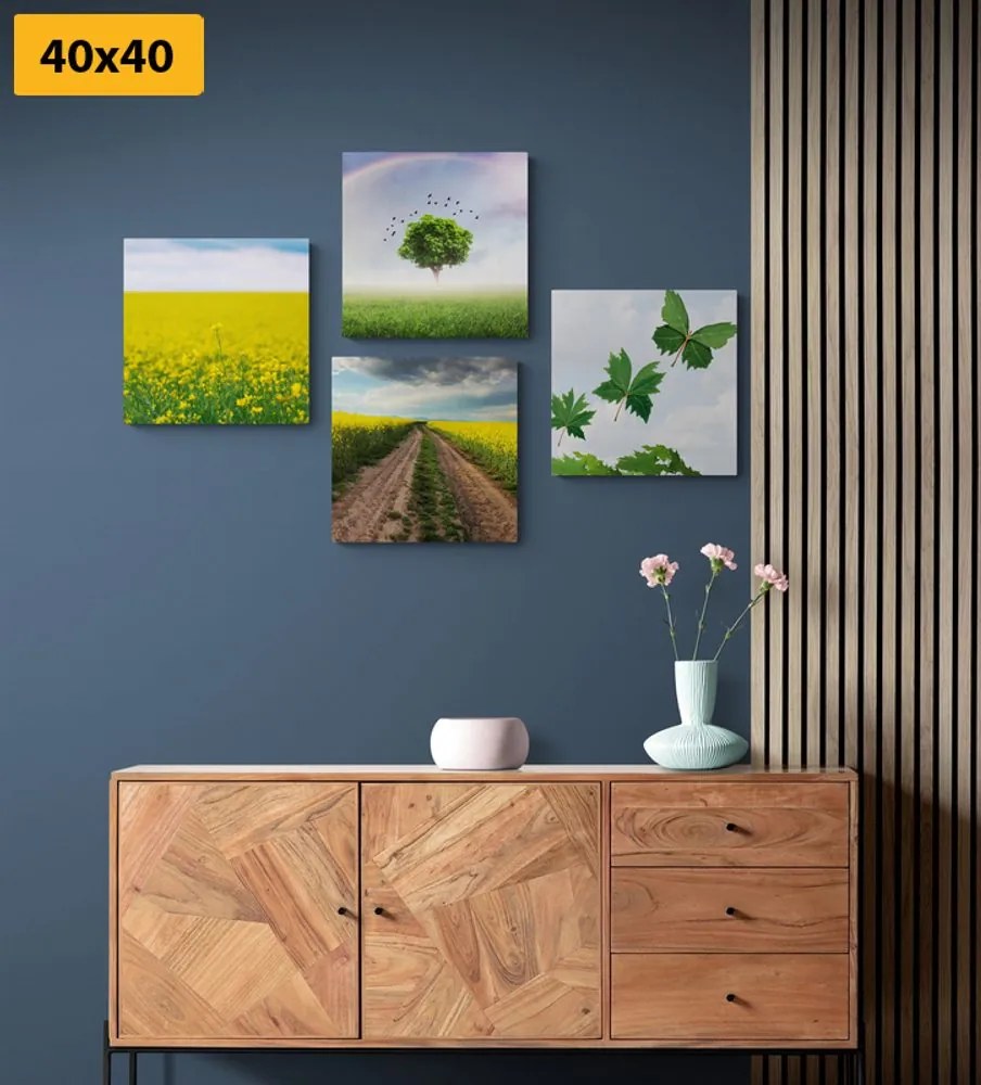 Set di quadri – Natura abbagliante