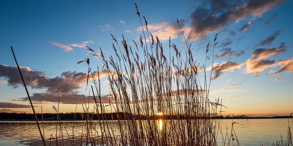 Stampa su tela – Fiume tranquillo vicino al villaggio