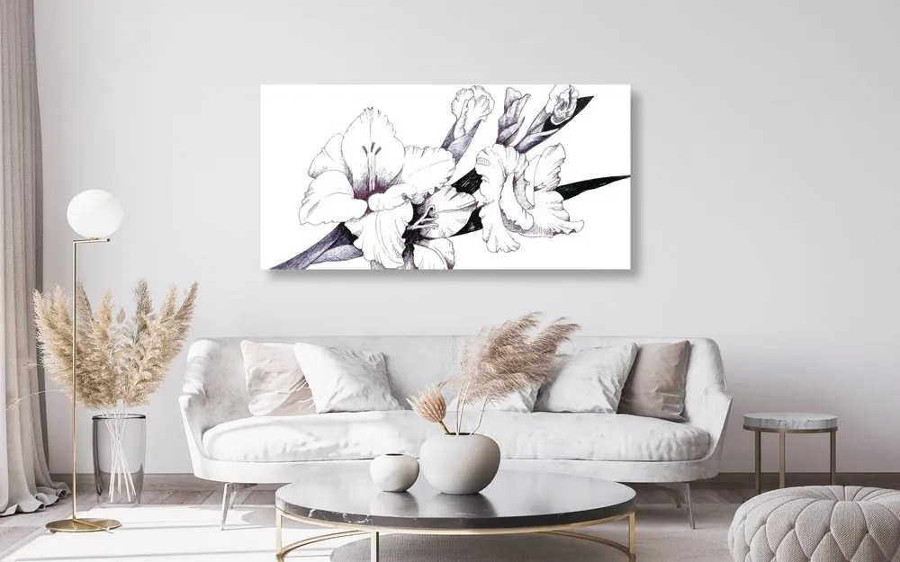 Quadro su tela – Illustrazione di gladioli in fiore