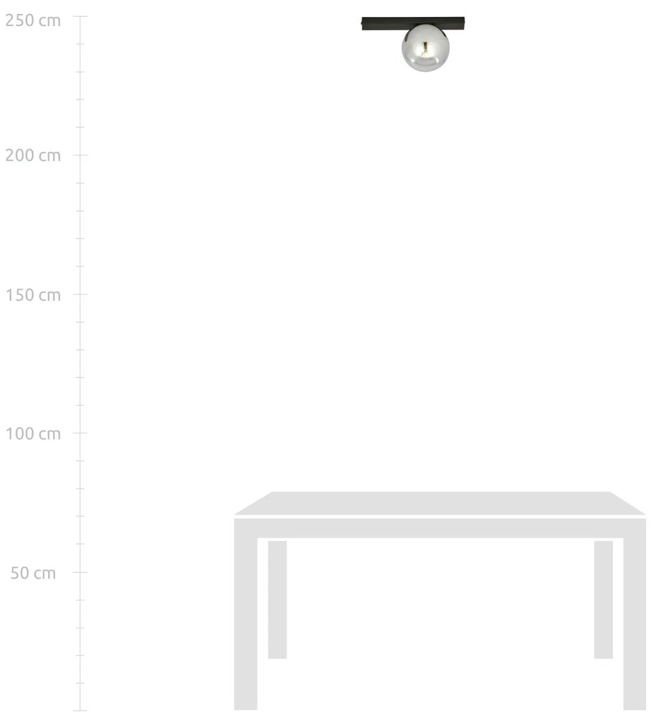 Plafoniera Moderna 1 Luce Fit Barra In Acciaio Nero E Sfera Di Vetro Fumè