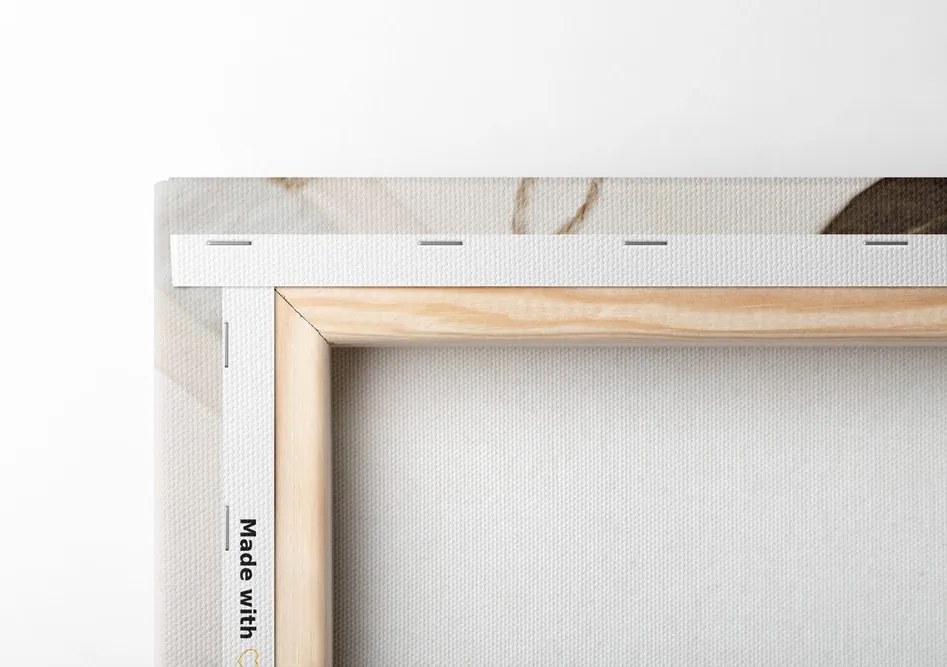 Quadro su tela – Collezione di foglie antiche