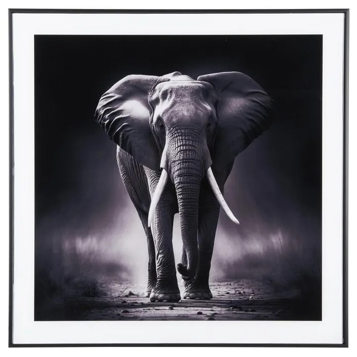 Dipinto 50x50 cm Elephant - PT LIVING