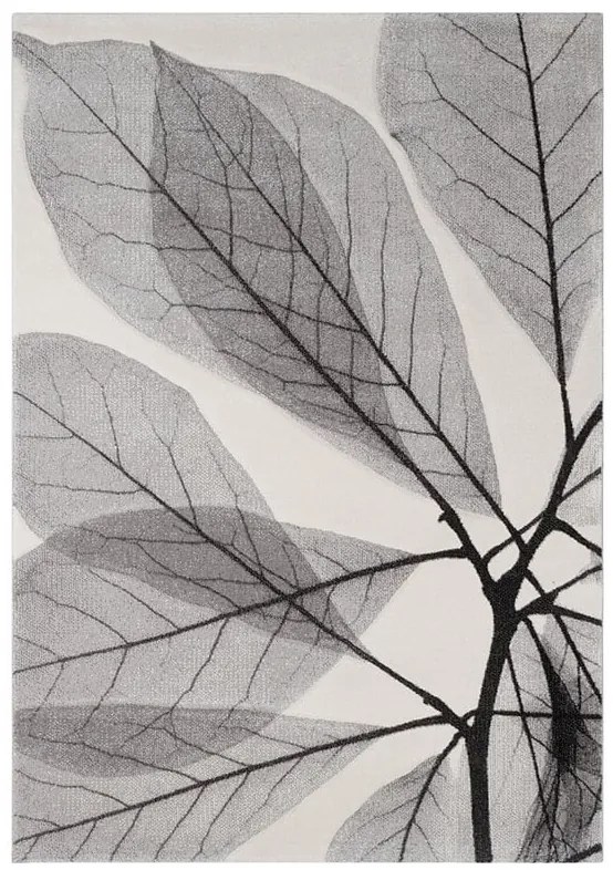 Tappeto Leaves natura beige chiaro, L 230 x L 160 cm