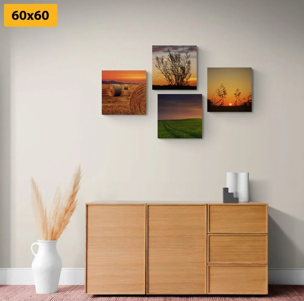 Set di quadri – Tramonto romantico sul prato