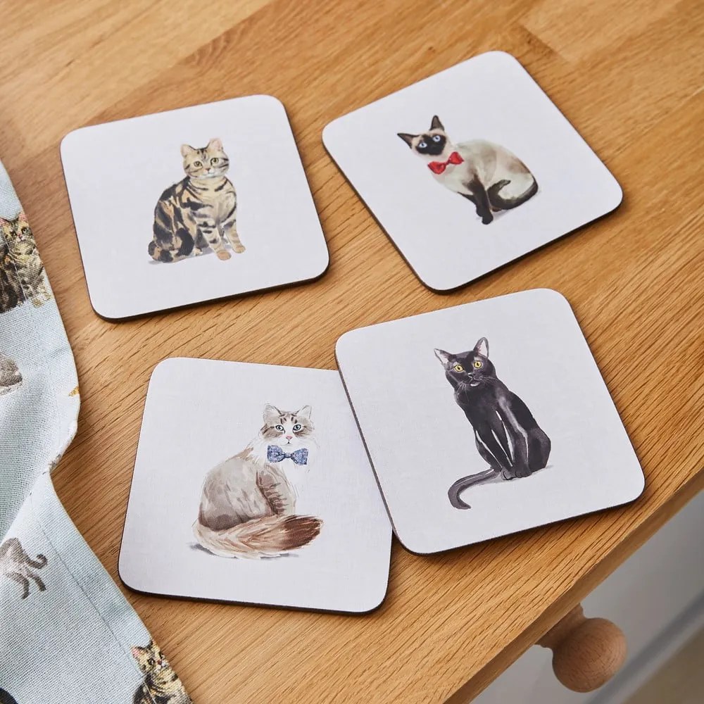 Set di 4 sottobicchieri blu con Curious Cat - Cooksmart ®