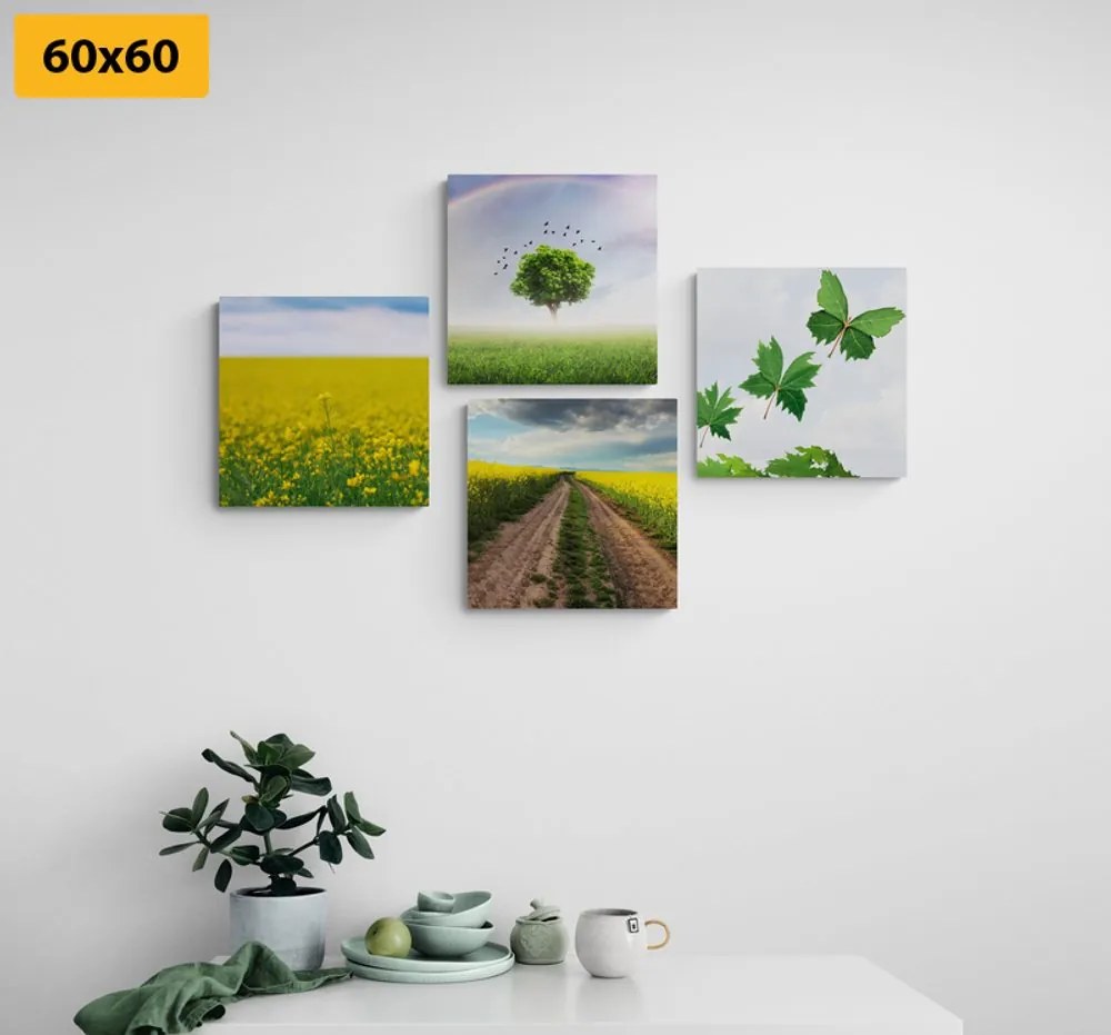 Set di quadri – Natura abbagliante