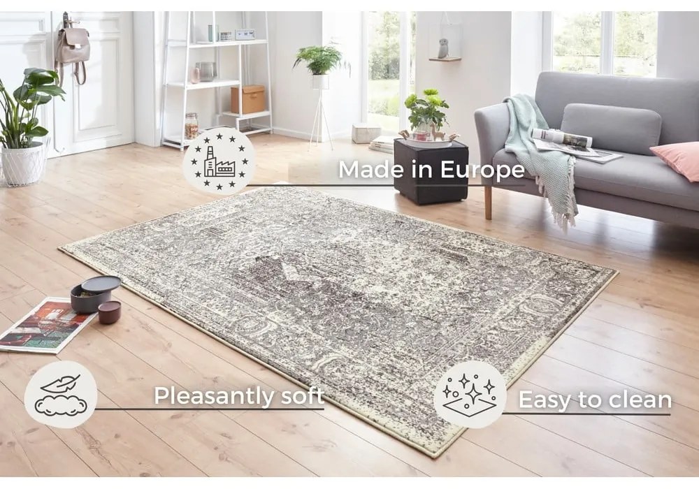 Tappeto grigio e crema Celebration , 120 x 170 cm Plume - Hanse Home