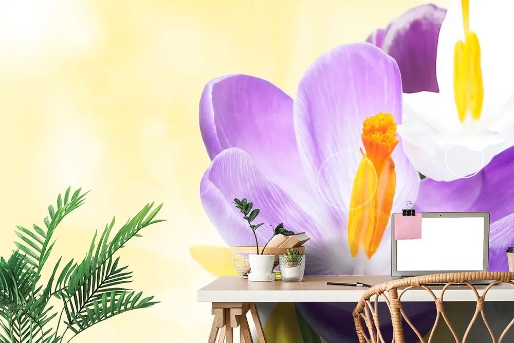 Carta da parati – Fiore in tocco primaverile