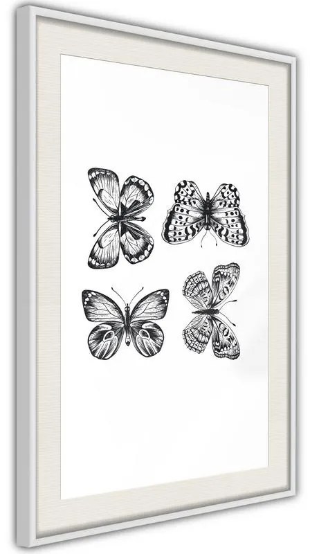 Poster  Butterfly Collection III  Cornice Quadri Cornice nera con pass-partout, Larghezza x Altezza Home decor 40x60