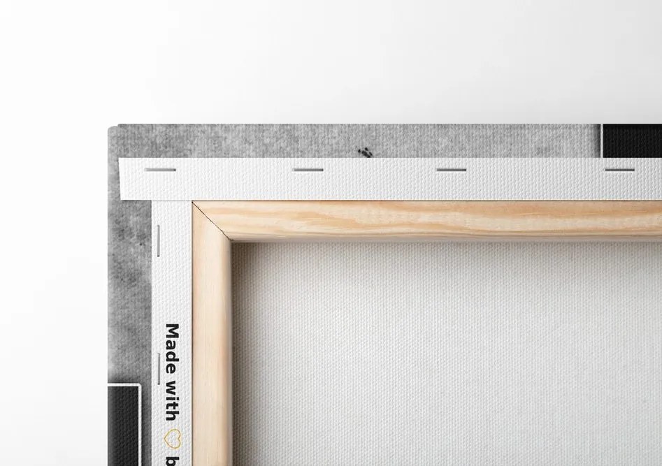 Quadro su tela – Astrazione floreale in bianco e nero