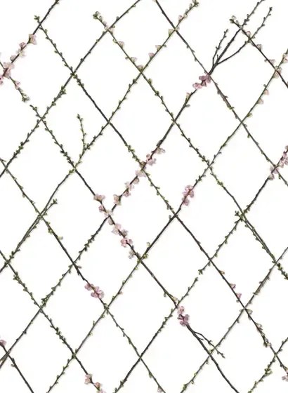 Rebel Walls Carta da parati panoramica Winding Spring - White