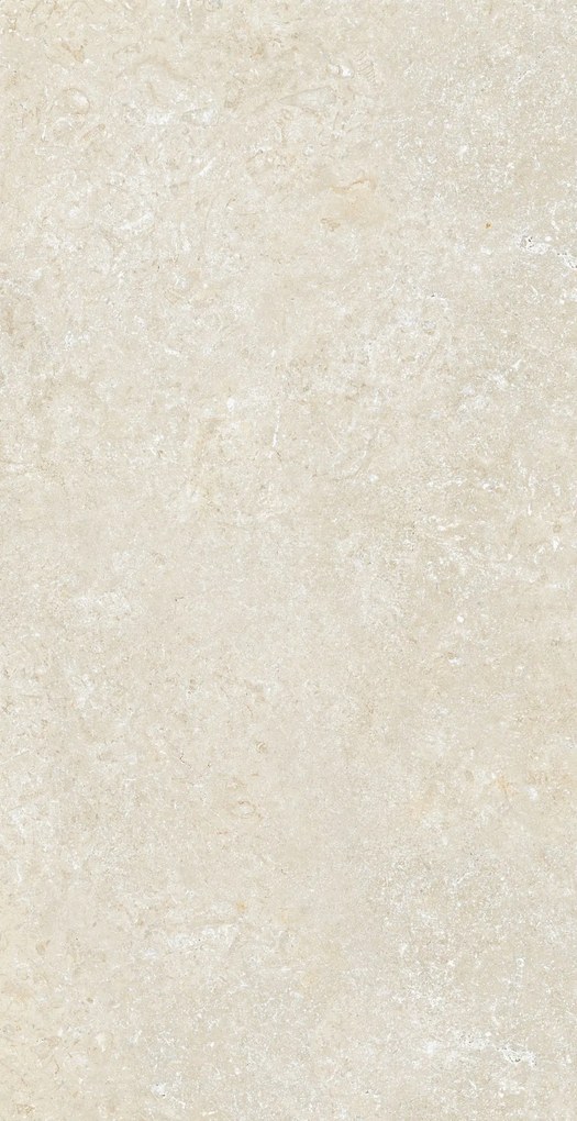 Cotto D'Este Secret Stone 60x120 Mystery White 14 mm Honed Rettificato in gres