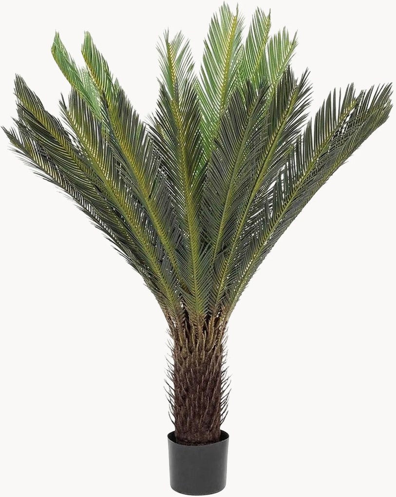 Pianta artificiale Cycas