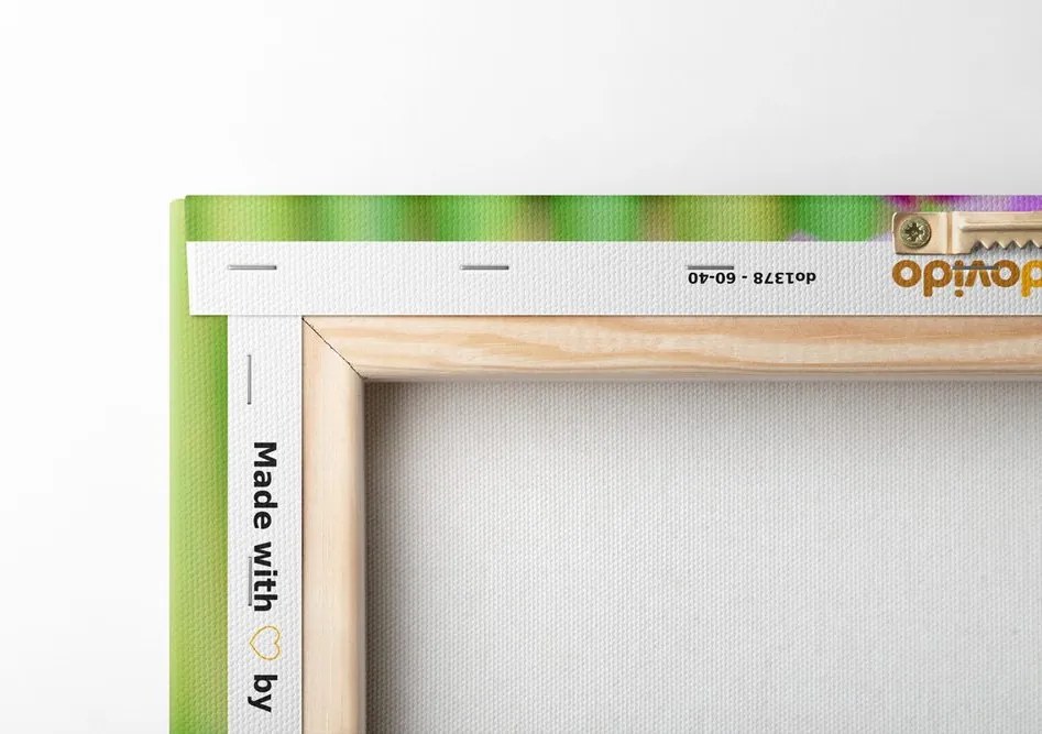 Quadro su tela – Giardino Zen giapponese