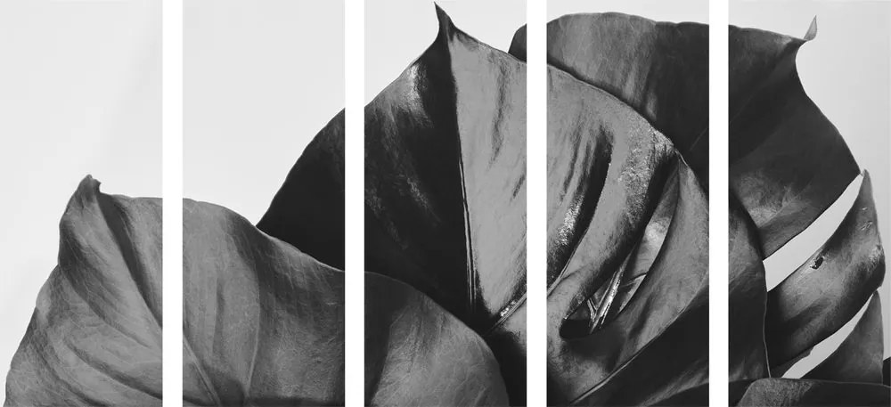 Quadri 5 pezzi – Foglia di monstera in bianco e nero