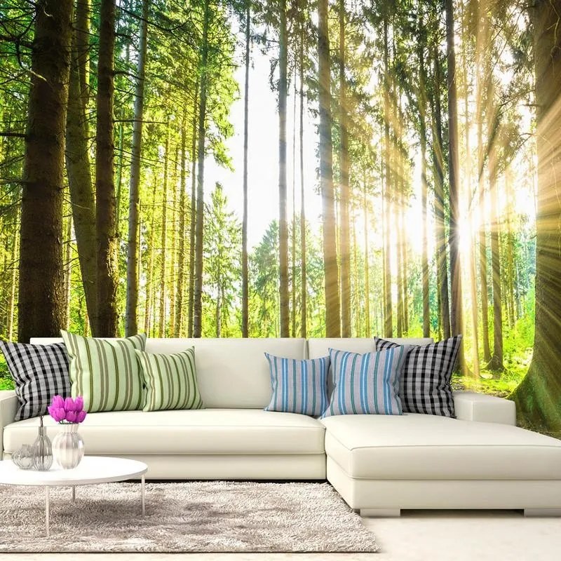 Fotomurale adesivo  Forest Tales  Larghezza x Altezza Home decor 245x175