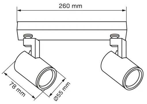 Faretto LYNX 2xGU10/10W/230V nero