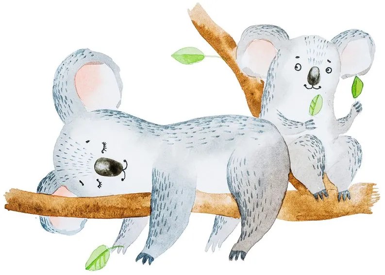 Carta da parati – Koala carini
