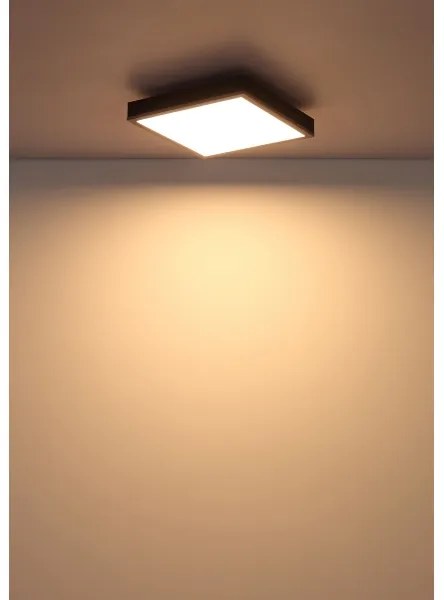 Globo 416080AD1 - Plafoniera LED DORO LED/12W/230V 3000K 30x30 cm