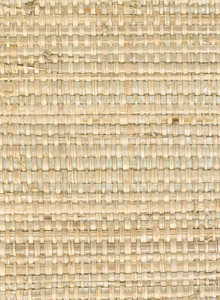 CMO Paris Tapete Papyrus Brut - Ivoire