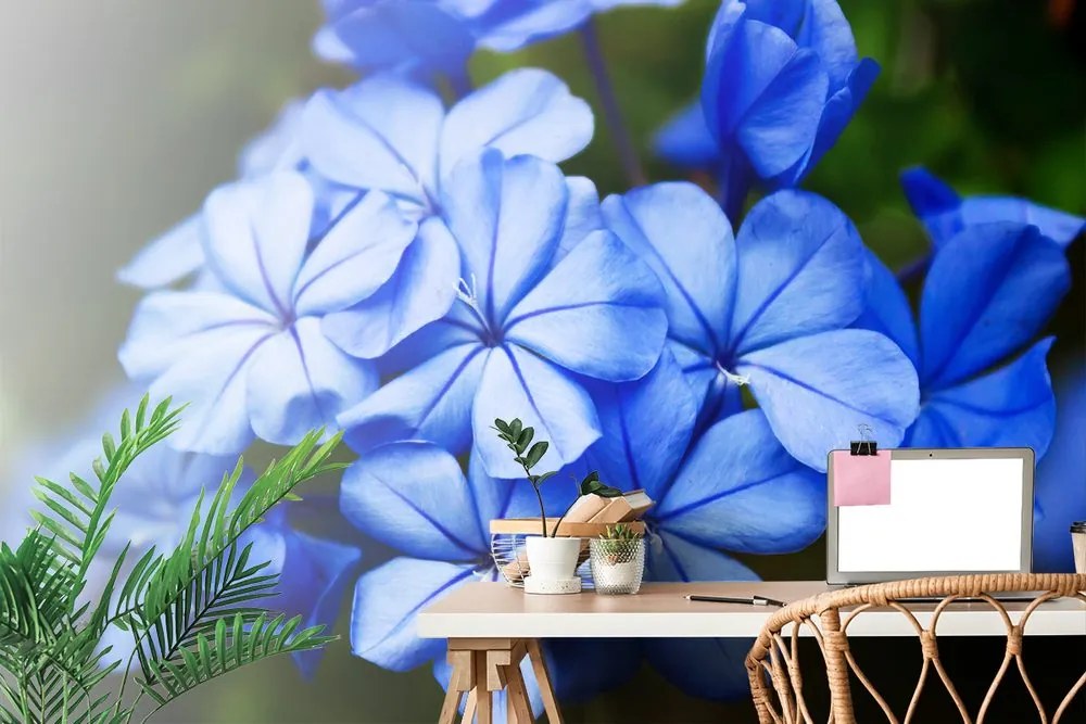 Carta da parati autoadesiva – Fiori blu selvatici