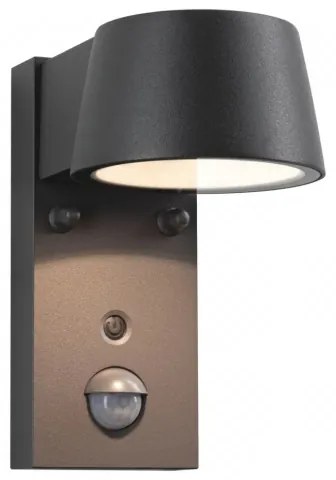 Paulmann 94714 - LED/6W IP44 Applique da esterno con sensore CAPERA 230V
