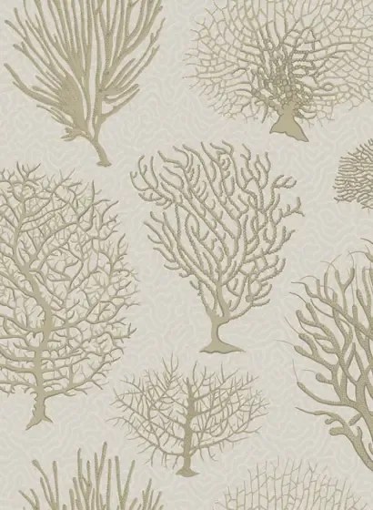 Cole & Son Carta da parati Seafern - Stone