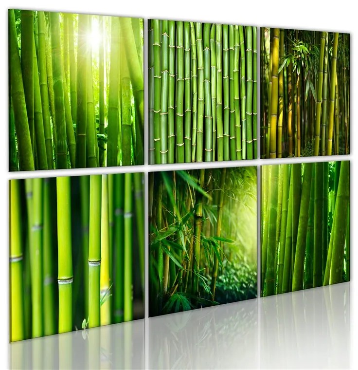 Quadro Bambu' in diverse versioni  Colore Verde, Dimensioni e Misure 120x80