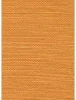 Élitis Tapete Sisal - RM 1069 22