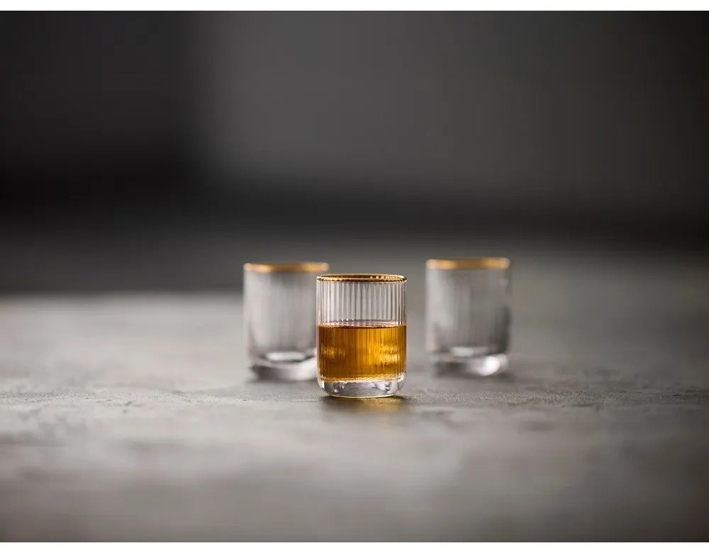 Set di bicchieri da shot 4 pz 60 ml Palermo – Lyngby Glas