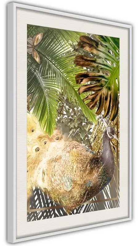 Poster  FairyTale Peacock in the Jungle  Cornice Quadri Cornice nera, Larghezza x Altezza Home decor 40x60