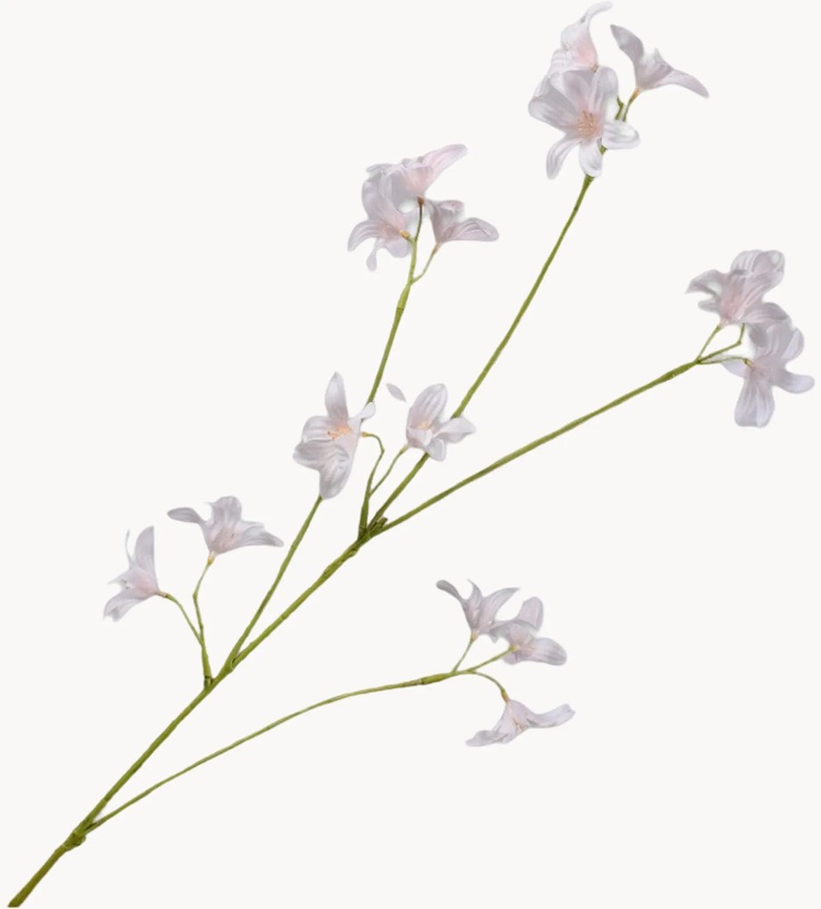 Ramo Hyacinth Branch