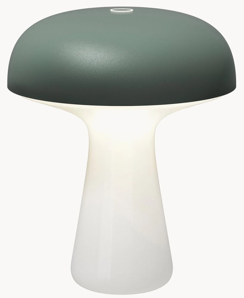 Lampada outdoor piccola portatile a LED con luce regolabile My