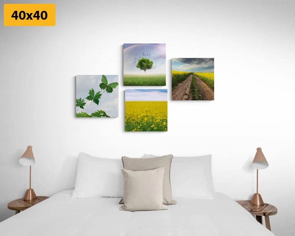Set di quadri – Natura abbagliante