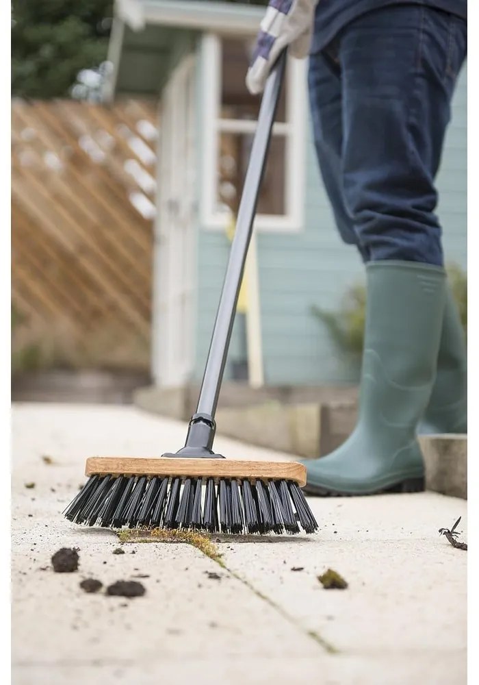Elementi essenziali della scopa nera - Addis