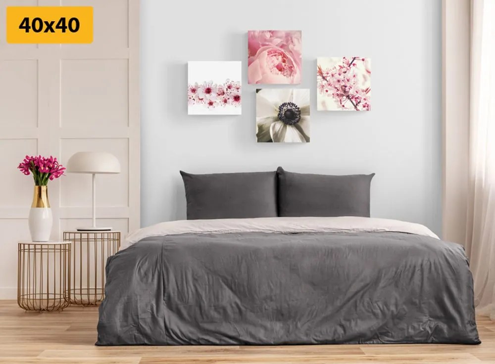 Set di quadri – Delicatezza dei fiori