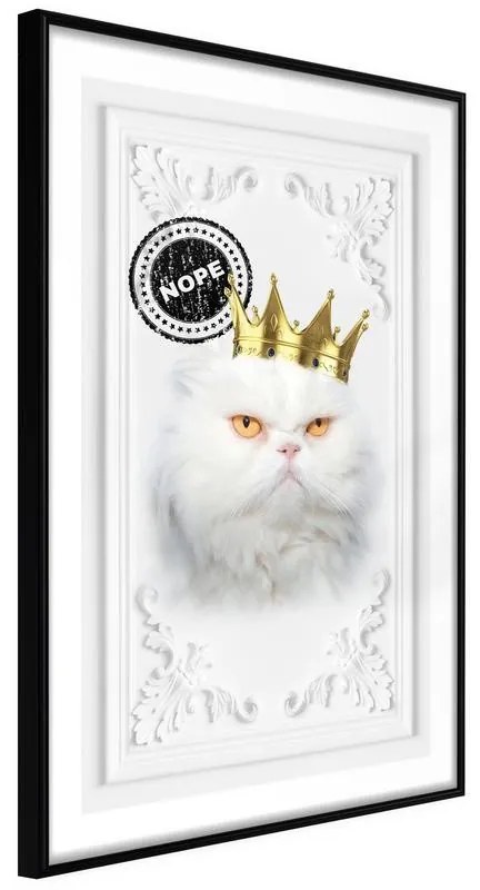 Poster  Cat Rules II  Cornice Quadri Cornice nera, Larghezza x Altezza Home decor 40x60