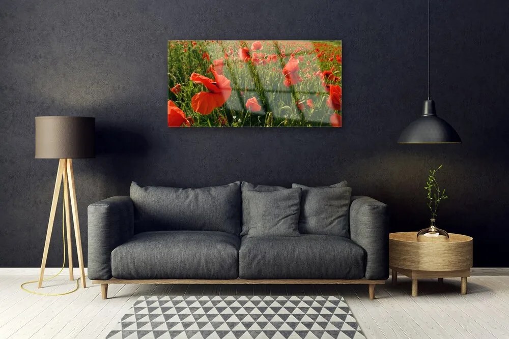 Quadro in vetro Papaveri Pianta Naturale 100x50 cm