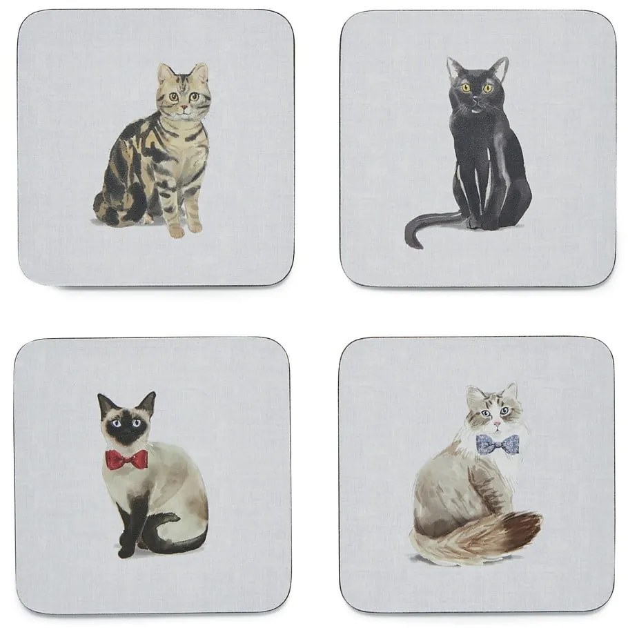 Set di tessili da cucina 13 pezzi Curious Cats - Cooksmart ®