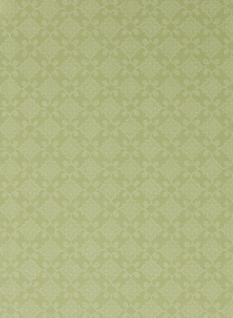 Zoffany Carta da parati Floral Tracery - Fennel